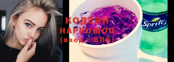прущие грибы Каменка
