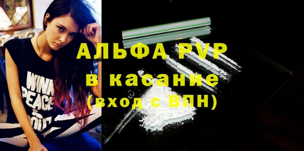стаф Каменск-Шахтинский