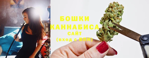 МДПВ Карпинск