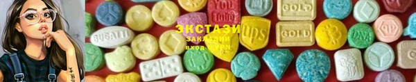 стафф Касимов