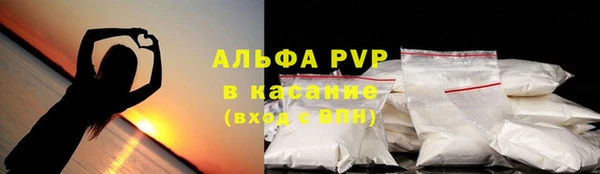 стаф Каменск-Шахтинский