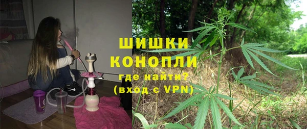 стафф Касимов