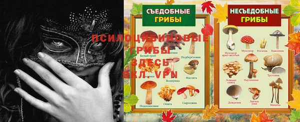 МДПВ Карпинск