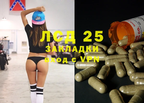 стафф Касимов