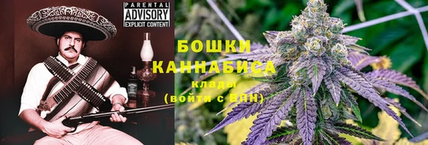 МДПВ Каменногорск