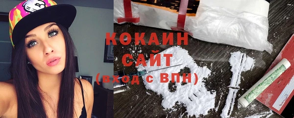 прущие грибы Каменка