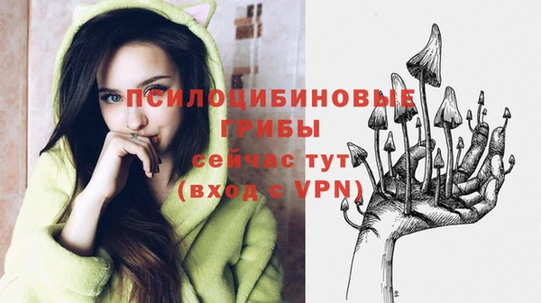прущие грибы Каменка