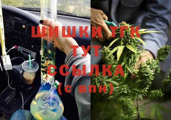стафф Касимов