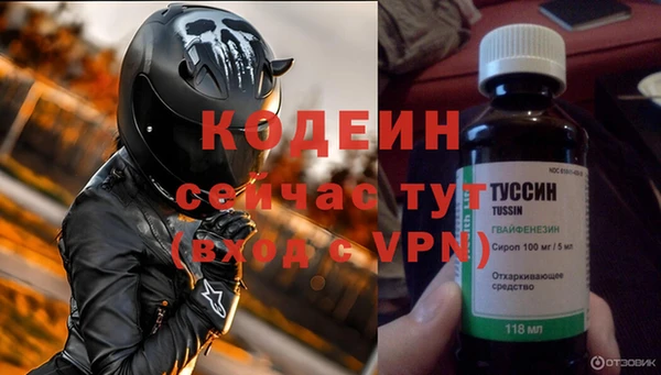 стаф Каменск-Шахтинский