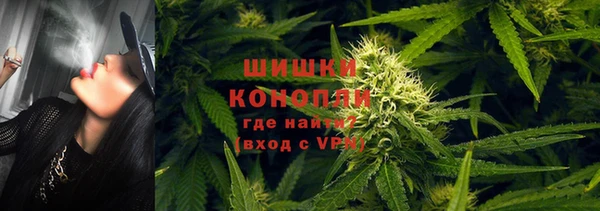 прущие грибы Каменка