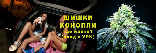 стаф Каменск-Шахтинский