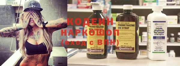 МДПВ Каменногорск