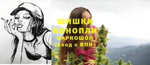 прущие грибы Каменка
